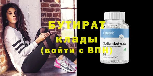 сатива Новозыбков