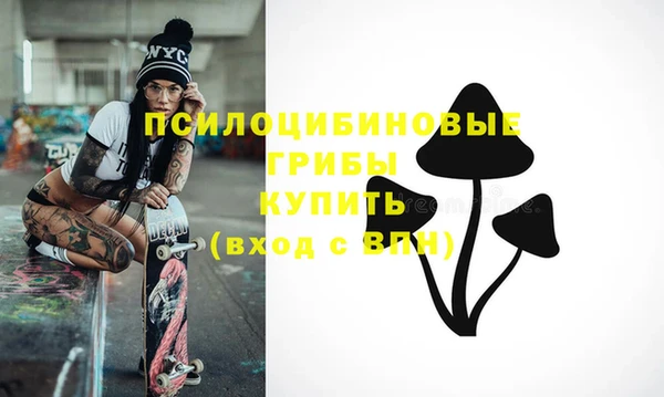 сатива Новозыбков