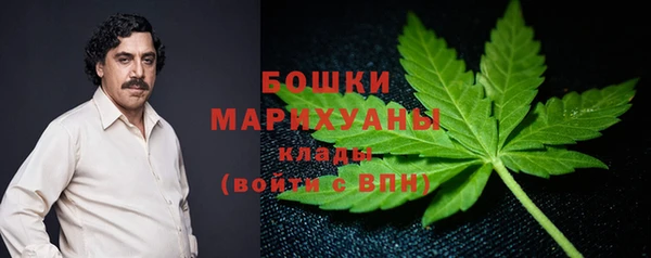 ГАЛЛЮЦИНОГЕННЫЕ ГРИБЫ Новодвинск
