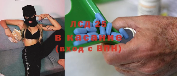 сатива Новозыбков