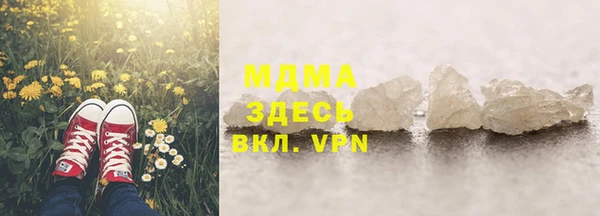 сатива Новозыбков