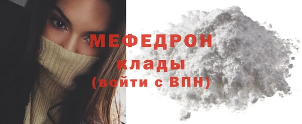 сатива Новозыбков