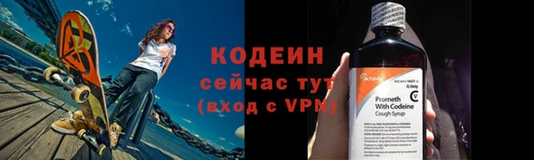 сатива Новозыбков