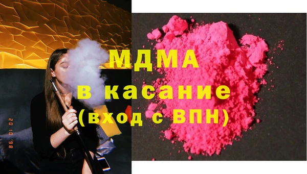 сатива Новозыбков