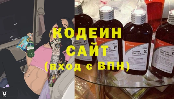 сатива Новозыбков