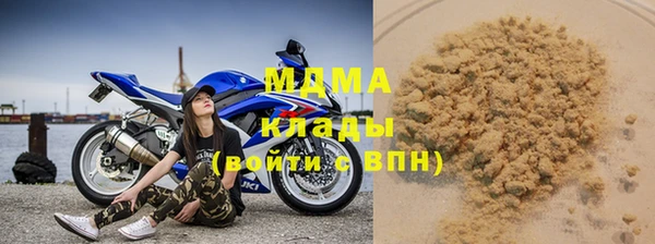 сатива Новозыбков
