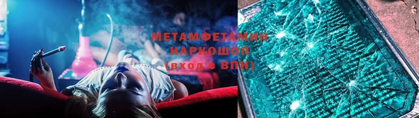сатива Новозыбков