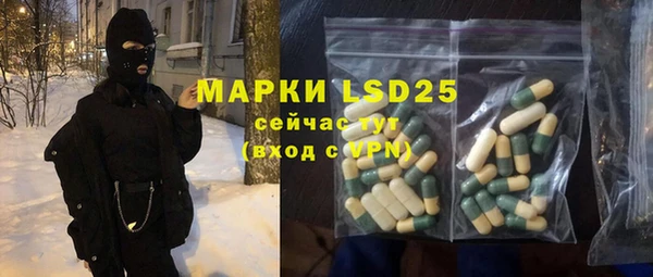 сатива Новозыбков